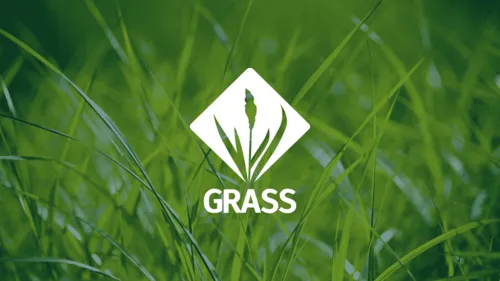 GRASS