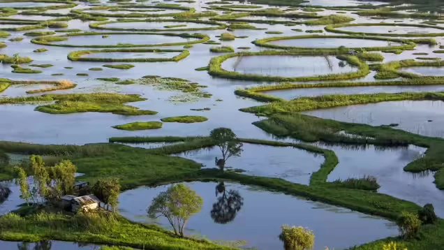 Biodiversity Conservation of Loktak Lake
